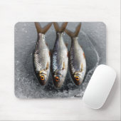 ゴキブリ マウスパッド (マウス)