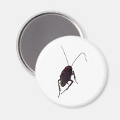 ゴキブリ マグネット (正面/裏面)
