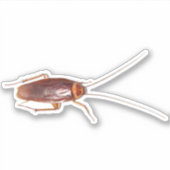 ゴキブリ・ローチ シール (正面)