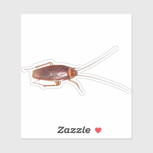 ゴキブリ・ローチ シール (シート)