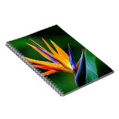 ゴクラクチョウカ属。 花極楽鳥 ノートブック (右側)