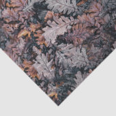 ゴシッククリーピーコージー秋ナイト紅葉 薄葉紙 (詳細)