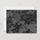 ゴシックナイトフォール結婚フローラズハンドスティングスイート 招待状 (裏面)