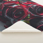 ゴシックバラ シェルパブランケット (3/4)