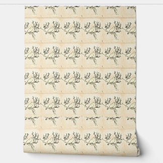 ゴシックポー 壁紙