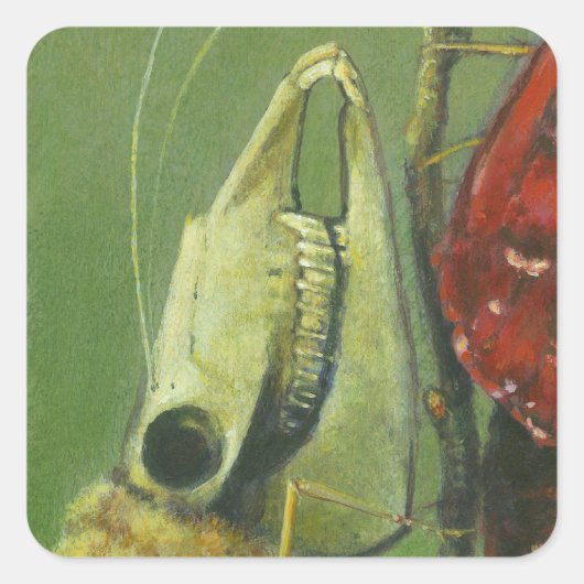 ゴシックモスサーレアルシール スクエアシール (正面)