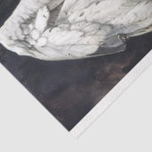 ゴシックラヴェンエンジェルデクページ 薄葉紙 (詳細)