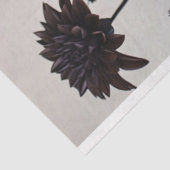 ゴシックレイヴン羽毛スケルトンスカルデコページ 薄葉紙 (詳細)