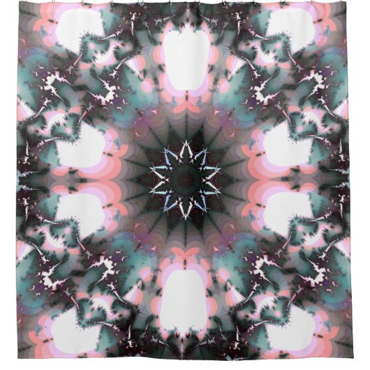 ゴシック凍ってい冬スパイダーウェブ シャワーカーテン (正面)