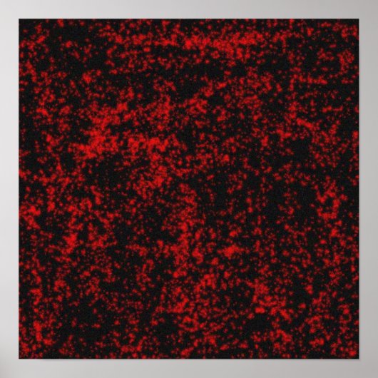 ゴシック星 ポスター (正面)