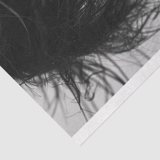 ゴシック様式のロックスターファッション撮影の切り離 薄葉紙 (詳細)