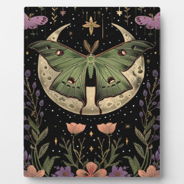 ゴシック様式の夜空イラストレーション フォトプラーク