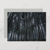 ゴシック様式の森のはがき ポストカード (正面/裏面)