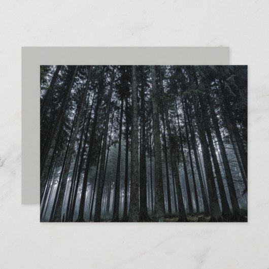 ゴシック様式の森のはがき ポストカード (正面/裏面)
