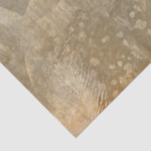 ゴシック様式エンジェルシリーズデザイン3 薄葉紙 (詳細)