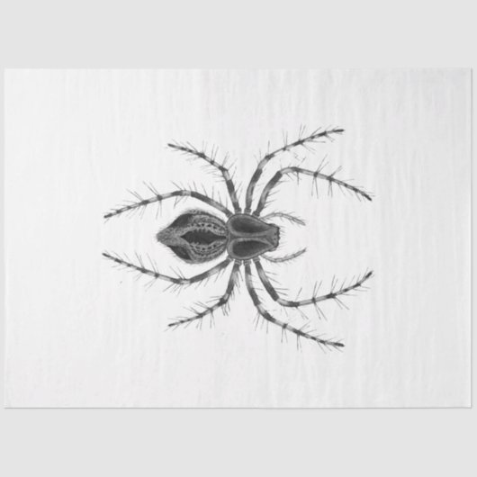 ゴシック様式エンチャントシリーズデザイン4 薄葉紙 (正面)