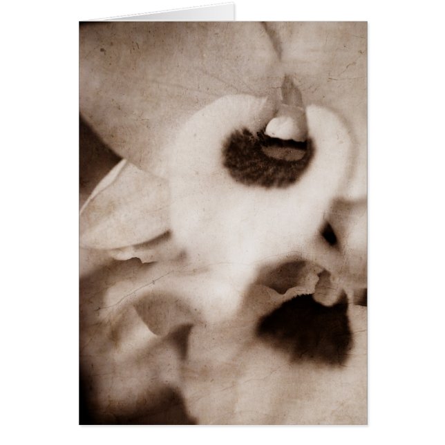 ゴシック様式蘭-カード (正面)