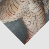 ゴシック神話ニンフファンタジードラゴン 薄葉紙 (詳細)