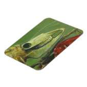 ゴシック超リアルモスフレキシブルマグネット マグネット (左側)