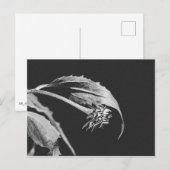 ゴシック風萎れた花の写真複製 ポストカード (正面/裏面)