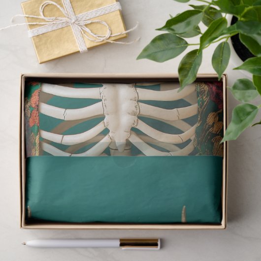 ゴシック〔雄ジカの〕枝角ユニークスケルトンスカルの分離 薄葉紙 (ギフト)