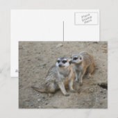 ゴシップはがき ポストカード (正面/裏面)