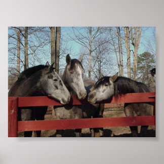 ゴシップコーナー ポスター