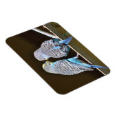 ゴシップ仲間 マグネット (右側)