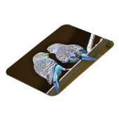 ゴシップ仲間 マグネット (左側)