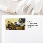 ゴシップ差出人住所ラブル ラベル (インサイチュ)