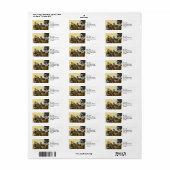 ゴシップ差出人住所ラブル ラベル (フルシート)