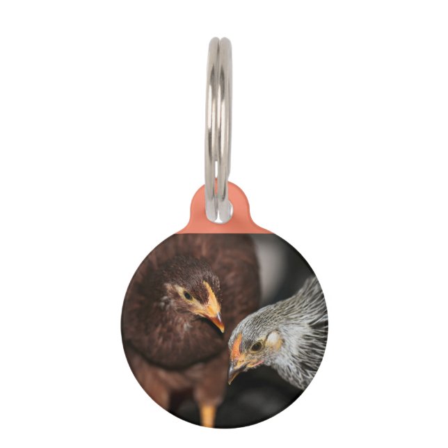 ゴシップ時間ペットIDラベル ペット　ネームタグ (正面)