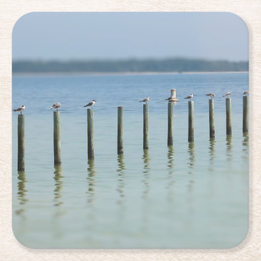 "ゴシップ線" – 沿岸海鳥 – コースター (正面)