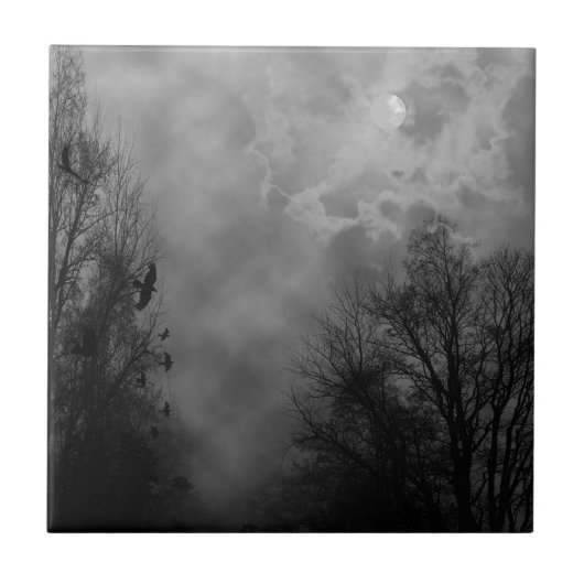 ゴシッ幽霊のよく出るク空 タイル (正面)