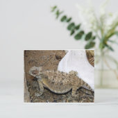 ゴジラが戻る ポストカード (スタンド正面)