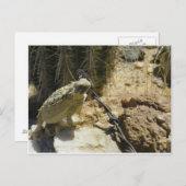 ゴジラのポーズした位置にあなた独自のテキストを追加 ポストカード (正面/裏面)