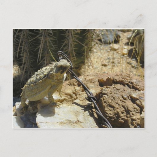 ゴジラのポーズした位置にあなた独自のテキストを追加 ポストカード (正面)