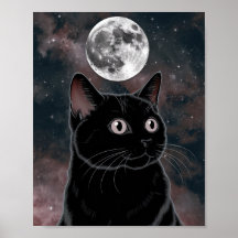 ゴスブラックキャット、魔女の時間の黒猫