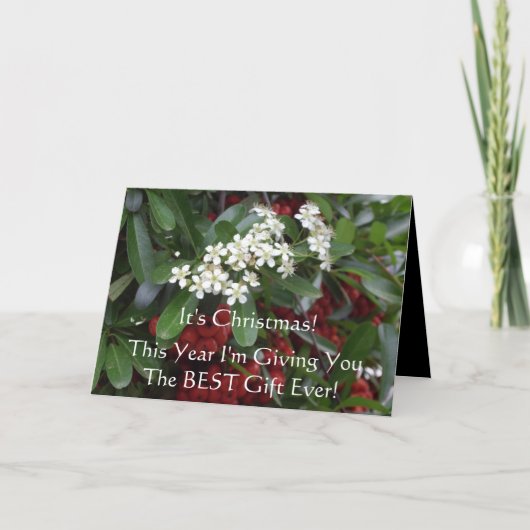 ゴスペルメッセージ付きクリスチャンクリスマスカード シーズンカード (正面)