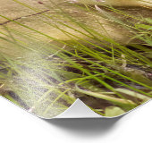 ゴスリング撮影プリント フォトプリント            (角)