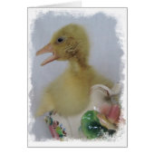 ゴスリング (正面)