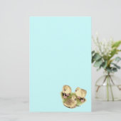 ゴスリング：アフリカのバフ 便箋 (スタンド正面)