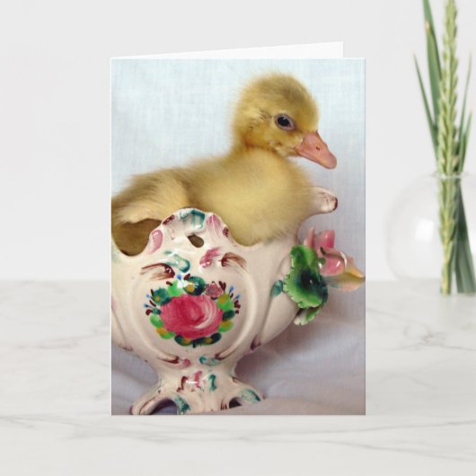 ゴスリング カード (正面)