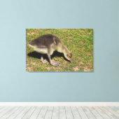 ゴスリング キャンバスプリント (インサイチュ (ウッドフロア))