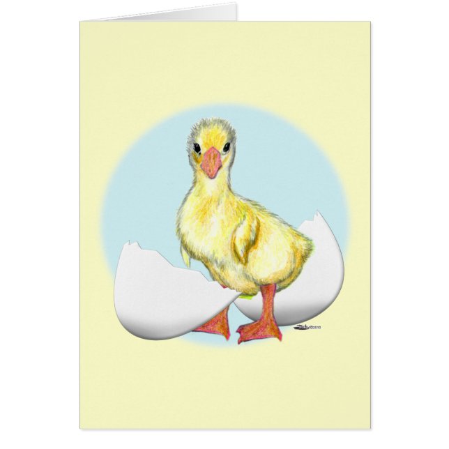 ゴスリング：ハッチングのみ (正面)