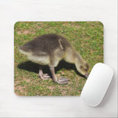 ゴスリング マウスパッド (マウス)