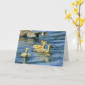 ゴスリング・ラウンドアップ カード (黄色い花)