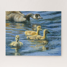 ゴスリング・ラウンドアップ