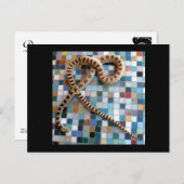 ゴッハースネーク疑問に思バレー ポストカード (正面/裏面)