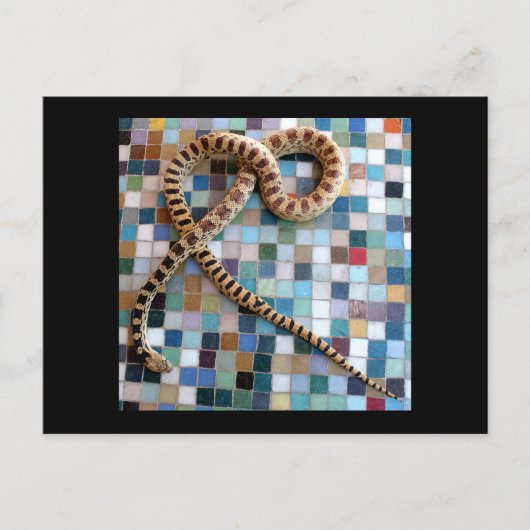 ゴッハースネーク疑問に思バレー ポストカード (正面)
